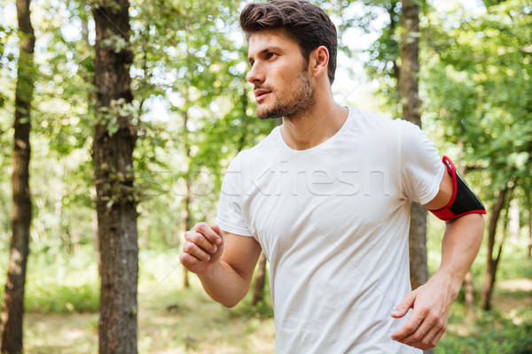 Homem atleta corrida floresta bonito moço Foto stock © deandrobot