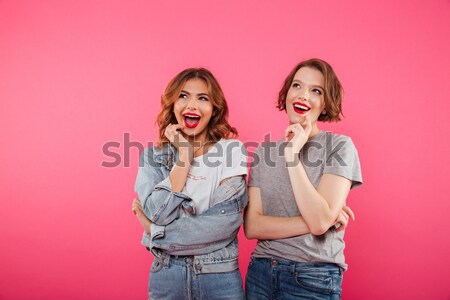 Alegre dos mujeres amigos Foto pie aislado Foto stock © deandrobot