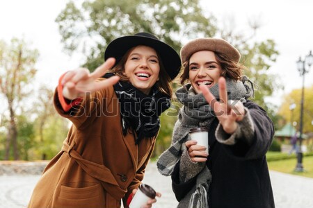 Portrait of two cheerful girls dressed in autumn clothes Stock photo © deandrobot