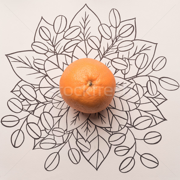 Orange fruit over outline floral background Stock photo © deandrobot