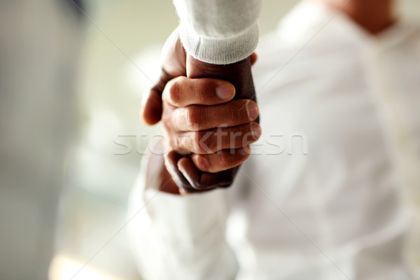 Close-up of businessmen shaking hands, Caucasian and African-American Stock photo © deandrobot
