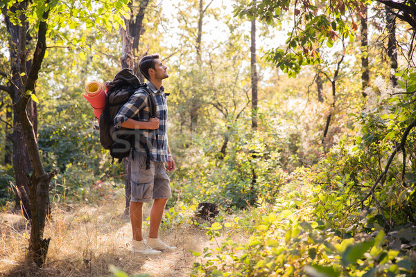 Male hiker walking in the forest Stock photo © deandrobot