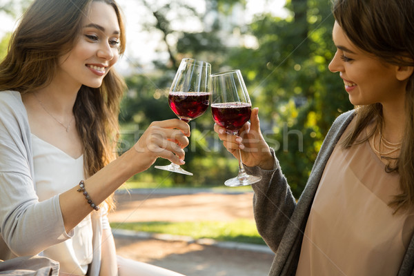 Pretty young two women sitting outdoors in park drinking wine Stock photo © deandrobot