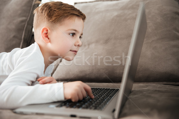 Mały cute chłopca za pomocą laptopa komputera leży Zdjęcia stock © deandrobot