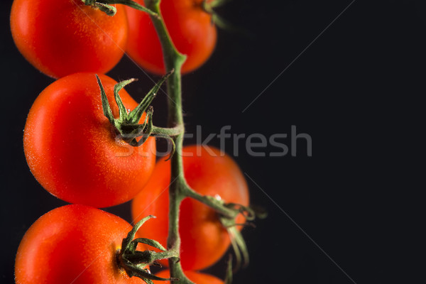 Branch of fresh red cherry tomatoes isolated Stock photo © deandrobot