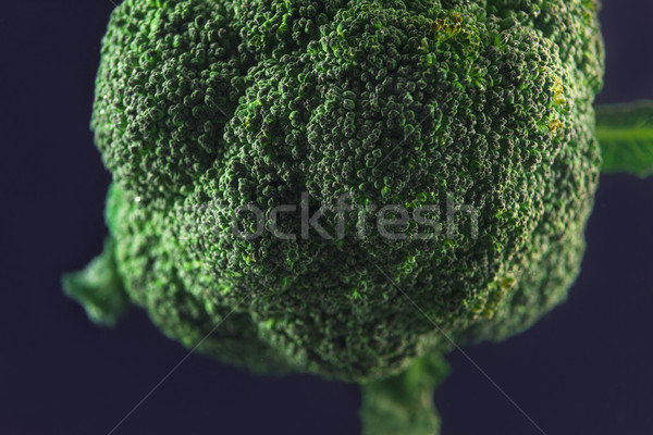 Broccoli after being washed Stock photo © deandrobot