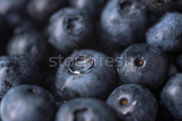 Fresh ripe perfect blueberries. Macro. Stock photo © deandrobot