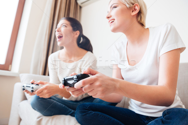 Freundinnen spielen Videospiele zwei heiter Haus Stock foto © deandrobot