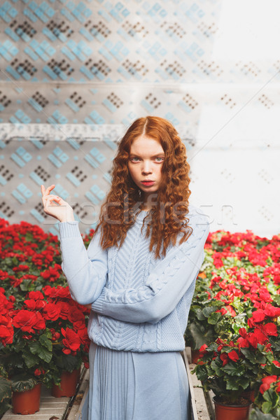 Girl standing between red flowers Stock photo © deandrobot