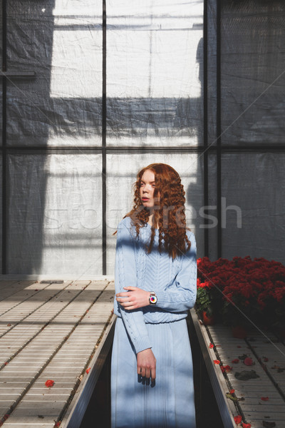 Girl looking away in orangery Stock photo © deandrobot