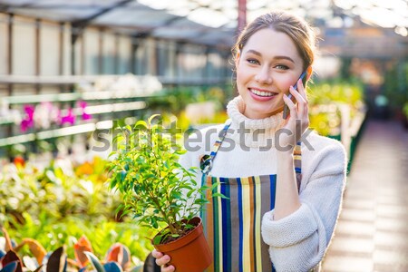 Feliz feminino jardineiro em pé flores estufa Foto stock © deandrobot