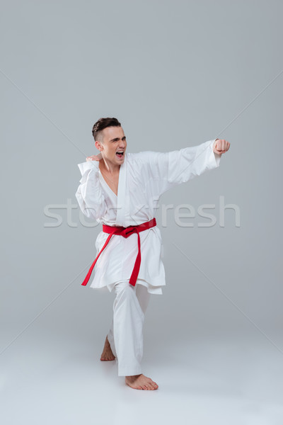 Handsome sportsman in kimono practicing at karate while posing Stock photo © deandrobot