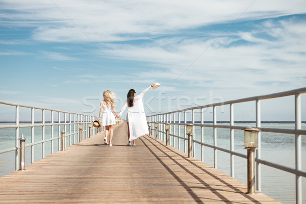 Stock photo: Back view of two young women walking on pier together