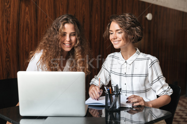 Stockfoto: Twee · gelukkig · gekruld · vrouwen · werken · tabel