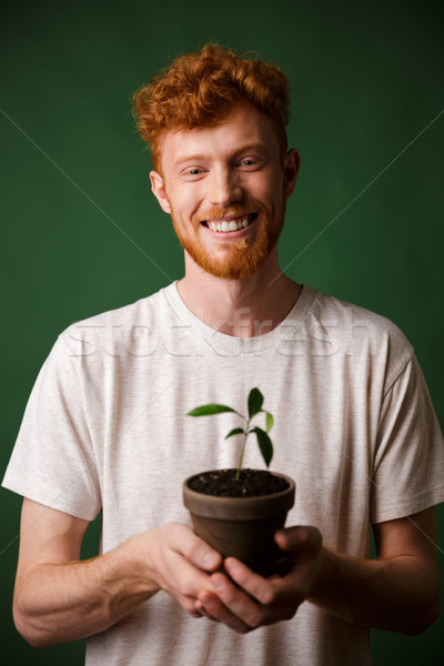 Cheerful handsome redhead bearded young hipster, holding potted  Stock photo © deandrobot