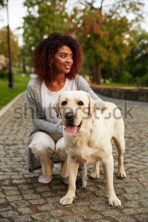 Heiter african Dame Fuß Hund Park Stock foto © deandrobot