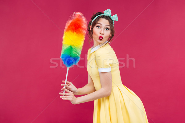 Charming playful pinup girl with colorful cleaning broom Stock photo © deandrobot