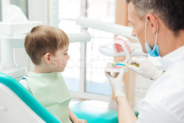 Dentist educating little boy about brushing teeth in clinic Stock photo © deandrobot
