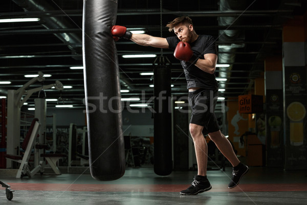 Koncentrált fiatal erős sportok férfi boxoló Stock fotó © deandrobot