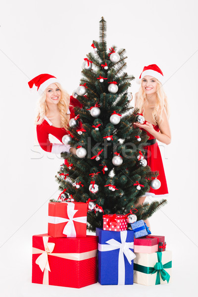 ストックフォト: 二人の女性 · サンタクロース · 布 · 立って · クリスマス