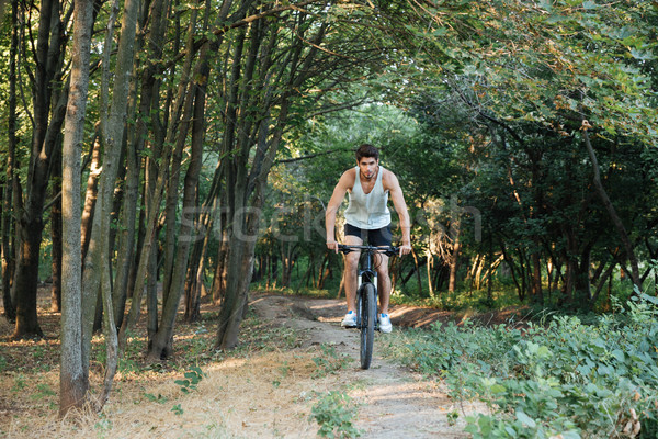 Foto stock: Hombre · equitación · bosques · imagen · forestales