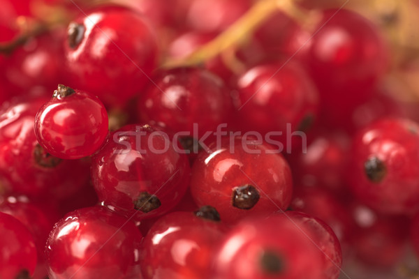 Stok fotoğraf: Kırmızı · frenk · üzümü · karpuzu · makro · resim