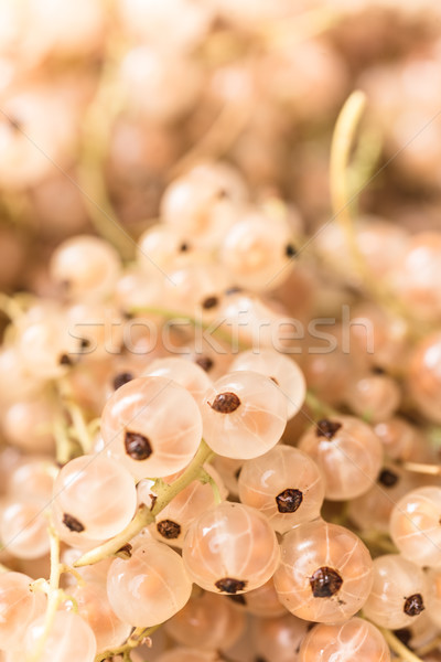 Stok fotoğraf: Resim · doğal · makro · gıda · bahçe