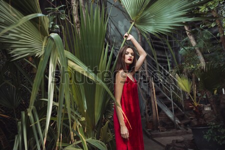 Morena mujer vestido rojo posando invernadero flor Foto stock © deandrobot