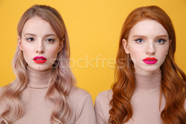 Ernstig twee dames heldere make lippen Stockfoto © deandrobot