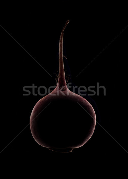 Beetroot silhouette isolated over black Stock photo © deandrobot