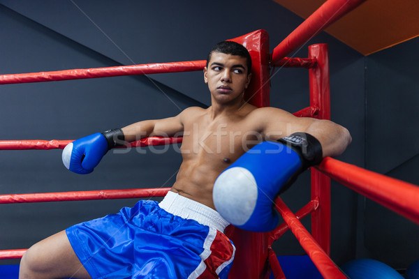 Boxer sitting in boxing ring Stock photo © deandrobot