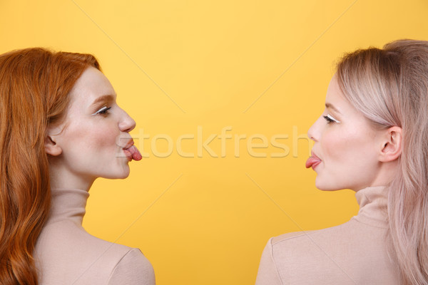 Side view image of funny young two ladies friends Stock photo © deandrobot