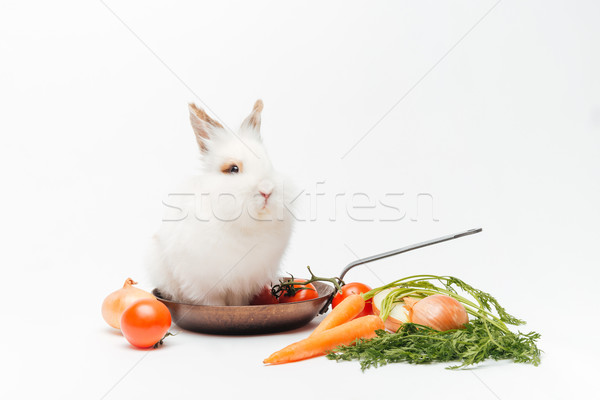 Rabbit inside a frying pan and vegetables Stock photo © deandrobot