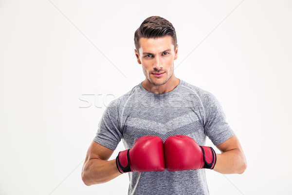 Zdjęcia stock: Portret · przystojny · mężczyzna · bokser · stałego · odizolowany
