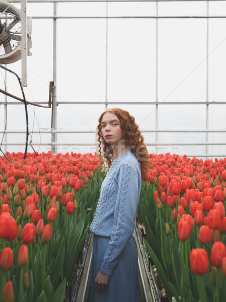 Girl between red tulips Stock photo © deandrobot