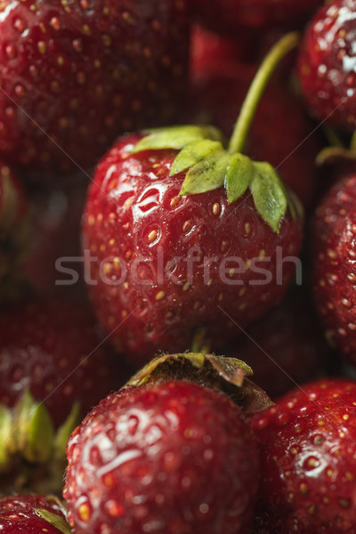 Frischen voll perfekt Erdbeere Makro Bild Stock foto © deandrobot