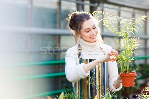 Foto stock: Alegre · feminino · jardineiro · cuidar · pequeno