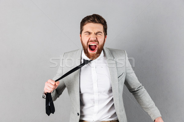Porträt wütend Geschäftsmann Anzug schreien Ziehen Stock foto © deandrobot