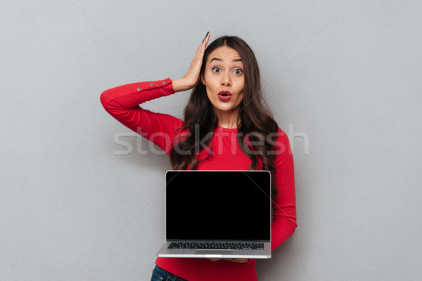 Brunette vrouw Rood blouse tonen laptop computer Stockfoto © deandrobot