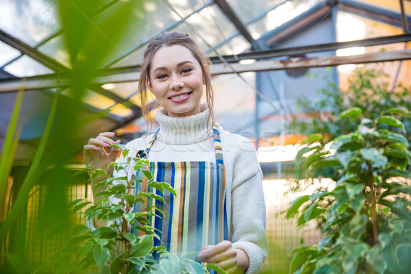 Smiling woman gardener standing in orangery  Stock photo © deandrobot