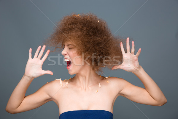 Hysterical excited curly woman sreaming and shaking her head Stock photo © deandrobot