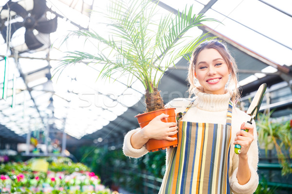 Smiling female gardener holding small palm in pot and shovel  Stock photo © deandrobot