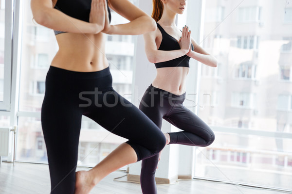 Dos mujeres pie equilibrio plantean yoga estudio Foto stock © deandrobot