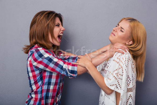 два ссориться серый девушки подростков Сток-фото © deandrobot