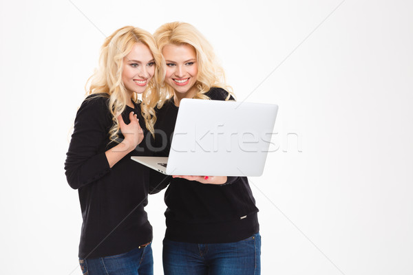 Smiling sisters twins using laptop compute Stock photo © deandrobot