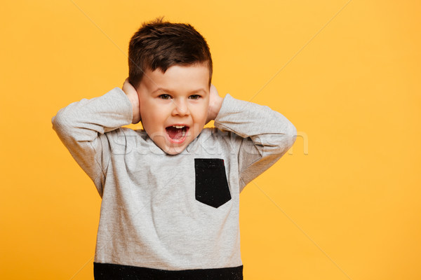 Screaming little boy child covering ears with hands. Stock photo © deandrobot