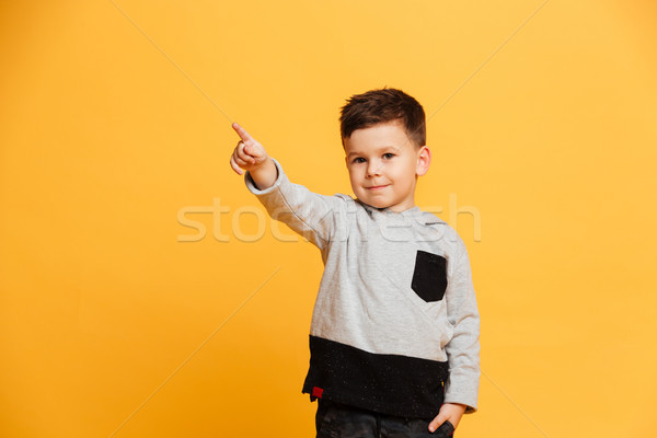 Cheerful little boy child pointing. Looking camera. Stock photo © deandrobot