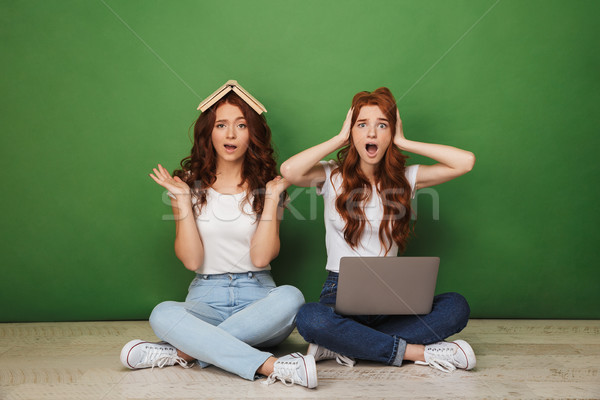 Portré kettő megrémült fiatal vörös hajú nő lányok Stock fotó © deandrobot