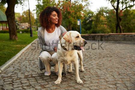Young pretty lady sitting with friendly dog in park Stock photo © deandrobot