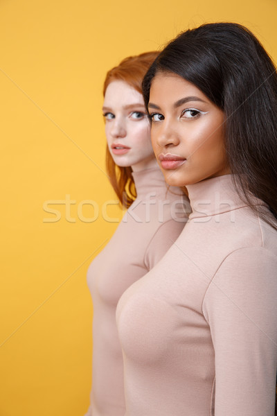 Stok fotoğraf: Yandan · görünüş · resim · konsantre · genç · kadınlar · bakıyor